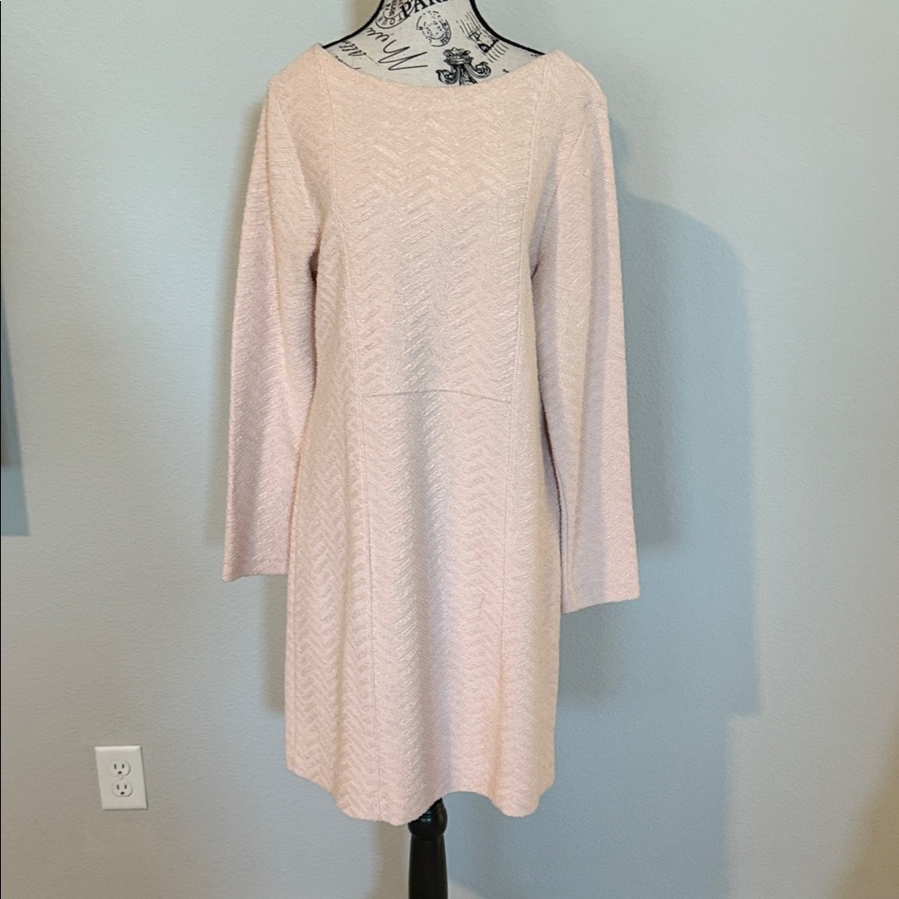 Chic Blush Long Sleeve Dress